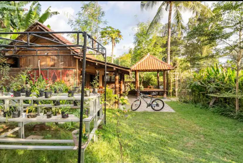 Hotel Al-Shifa Healing House Lombok à Gili Air Extérieur photo
